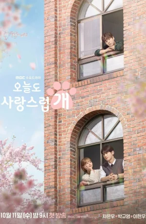 Дорама Отличный день, чтобы стать собакой онлайн