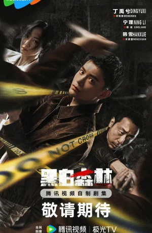 Дорама Чёрно-белый лес сериал 2024  смотреть онлайн